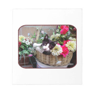 Bloc-note Chaton dans un panier