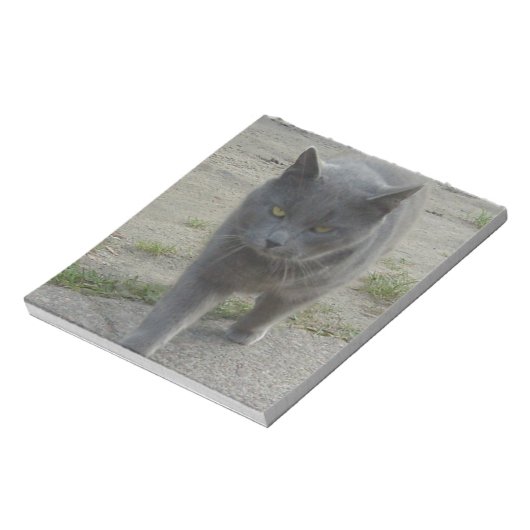 Bloc-note Chats (Tourné)