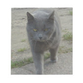 Bloc-note Chats (Devant)