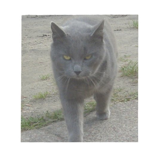 Bloc-note Chats (Devant)