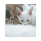 Bloc-note Chats mignons (Devant)