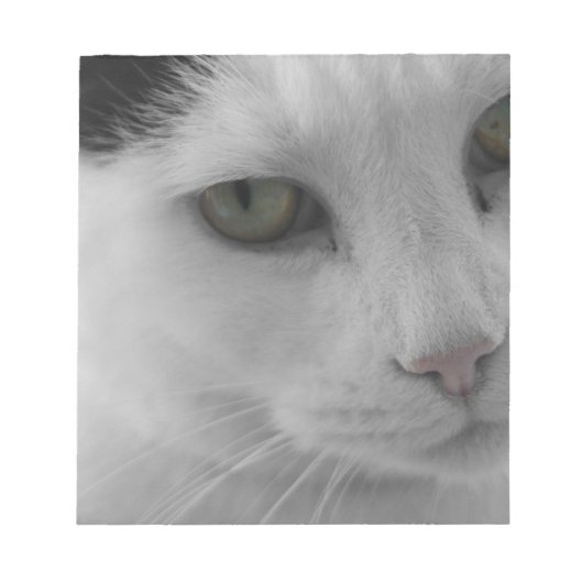 Bloc-note Chats noirs et blancs (Devant)