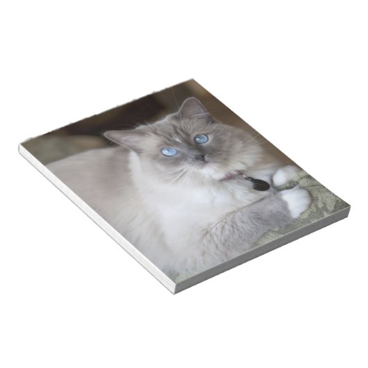 Bloc-note Chatte Ragdoll (Incliné)