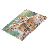 Bloc-note Cheetah Animal Nature Faune Affection Soin (Incliné)