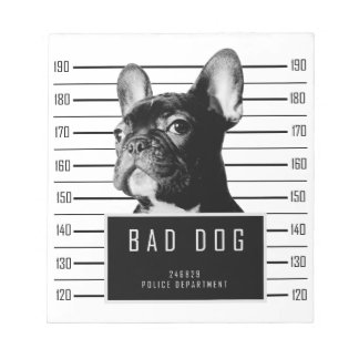 Bloc-note Chemise de Mugshot de Chien-taureau français