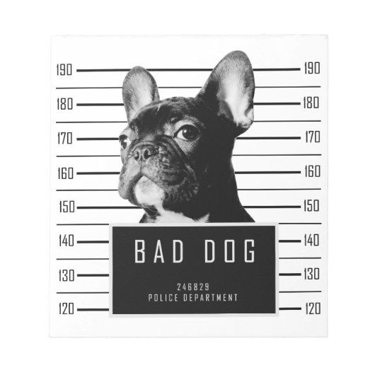 Bloc-note Chemise de Mugshot de Chien-taureau français (Devant)