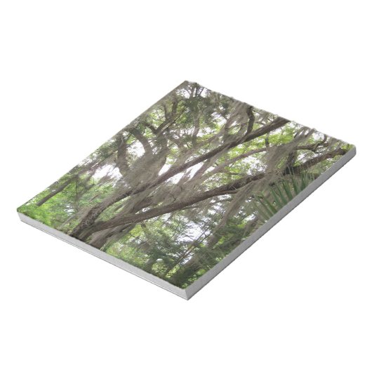 Bloc-note chêne avec mousse espagnole agitant dans les branc (Tourné)