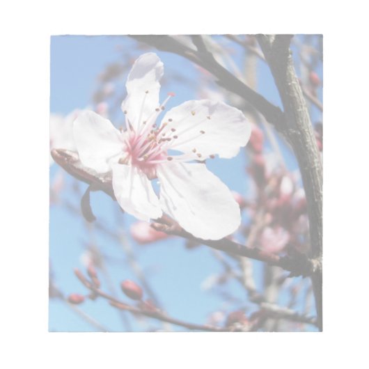 Bloc-note Cherry Blossom 2 (Devant)