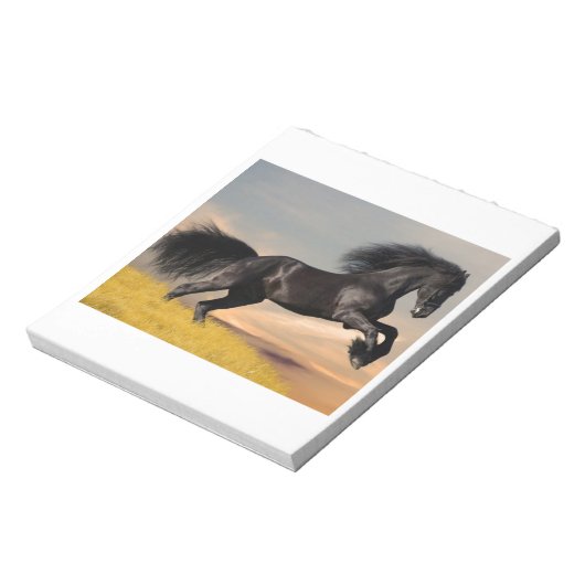 Bloc-note cheval noir sur le désert (Tourné)