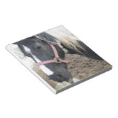 Bloc-note Cheval Paint Pinto (Incliné)