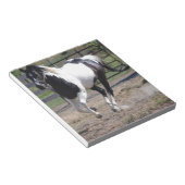 Bloc-note Cheval Pinto Paint (Incliné)
