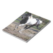 Bloc-note Cheval Pinto Paint (Tourné)