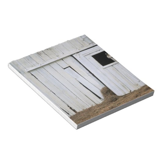 Bloc-note Cheval Sticking Head out Barn Window (Incliné)