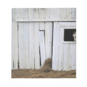 Bloc-note Cheval Sticking Head out Barn Window (Devant)