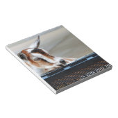 Bloc-note Chèvre bébé (Incliné)