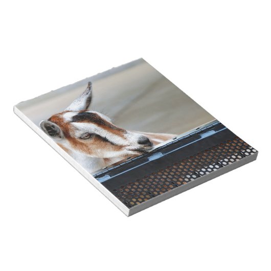 Bloc-note Chèvre bébé (Incliné)