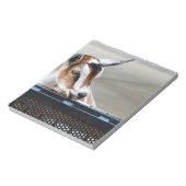 Bloc-note Chèvre bébé (Tourné)