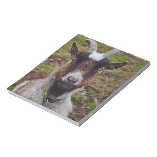 Bloc-note Chèvre de près. (Tourné)