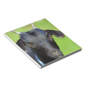 Bloc-note Chèvre noire (Incliné)