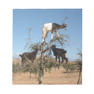 Bloc-note Chèvres amusantes dans un arbre
