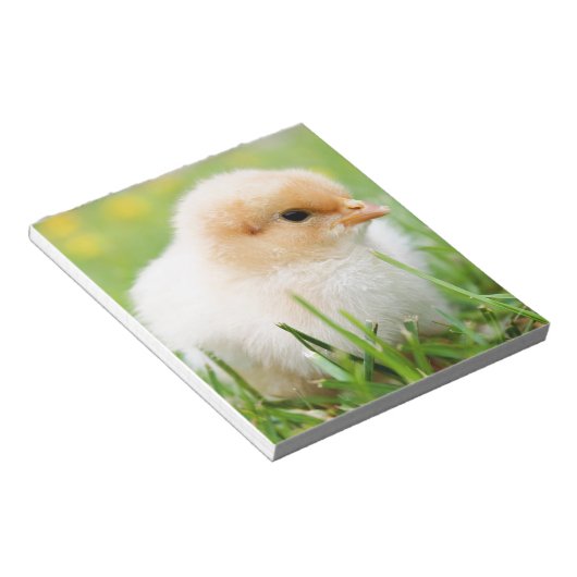 Bloc-note Chick (Incliné)