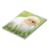 Bloc-note Chick (Tourné)