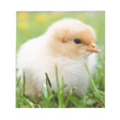 Bloc-note Chick (Devant)