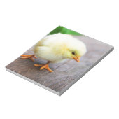 Bloc-note Chick de Pâques (Tourné)