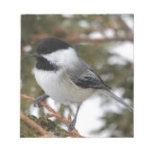 Bloc-note Chickadee_9643 (Devant)