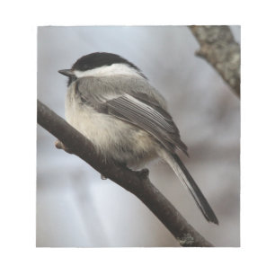 Bloc-note Chickadee couvert par noir