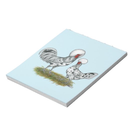 Bloc-note Chickens de Polish (Tourné)