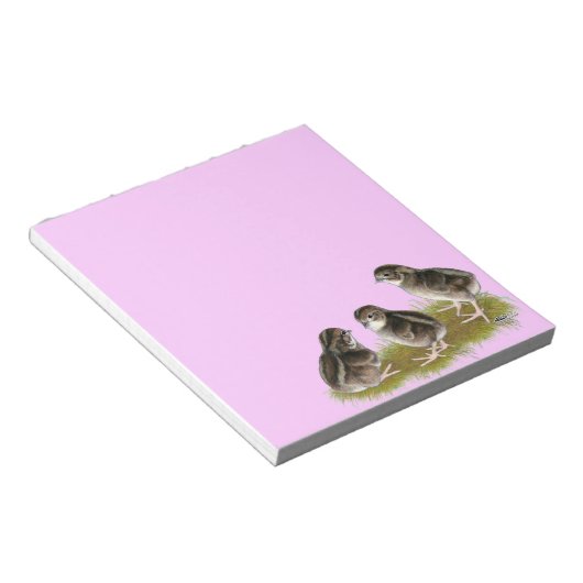 Bloc-note Chicks de Coturnix (Incliné)