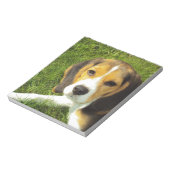 Bloc-note Chien Beagle Animaux de Compagnie Paix Amour (Tourné)