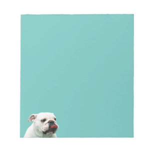 Bloc-note Chien blanc mignon Bulldog