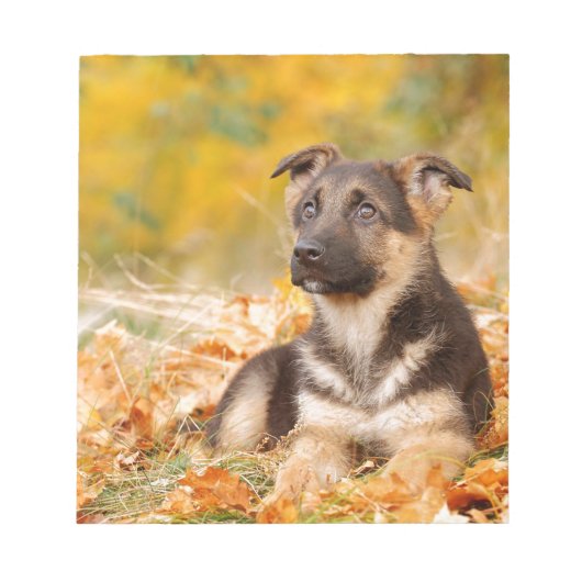 Bloc-note Chien d'automne allemand chiot (Devant)