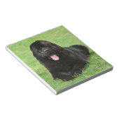 Bloc-note Chien de Terre-Neuve (Incliné)