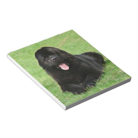 Bloc-note Chien de Terre-Neuve (Incliné)