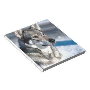 Bloc-note Chien de traîneau en bloc - notes de neige