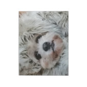 Bloc-note Chien doux, chiot (Tourné)