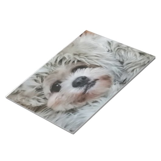 Bloc-note Chien doux, chiot (Incliné)