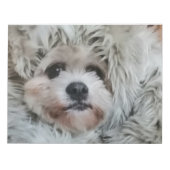 Bloc-note Chien doux, chiot (Devant)