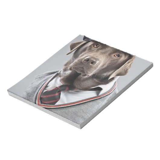 Bloc-note Chien en pull et casquette (Tourné)