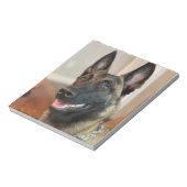 Bloc-note Chien malinois (Tourné)