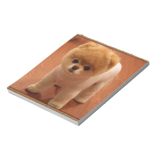 Bloc-note Chien Poméranien Chien Chien Chien Chien Chien Chi (Tourné)