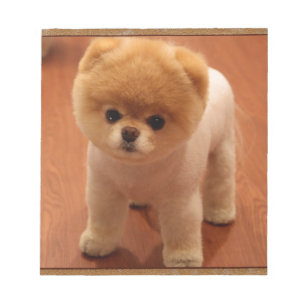 Bloc-note Chien Poméranien Chien Chien Chien Chien Chien Chi