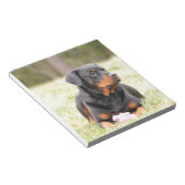 Bloc-note Chien Rottweiler (Incliné)