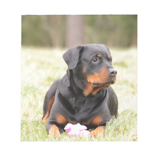 Bloc-note Chien Rottweiler (Devant)