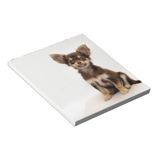 Bloc-note Chihuahua petit chien (Incliné)