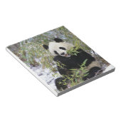 Bloc-note Chine, province du Sichuan. Le Panda géant se nour (Incliné)