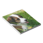 Bloc-note Chiot (Incliné)